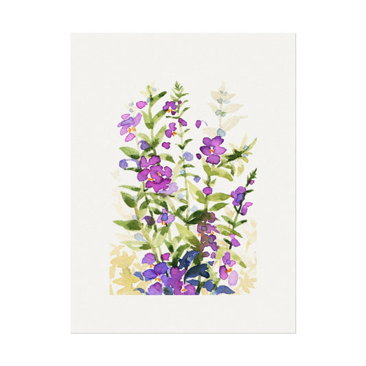 Watercolor Flower #7_Angelonia Print